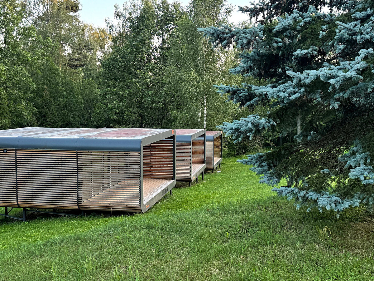 Вечером, когда все расходились по домикам, я выходила на небольшую веранду, заворачивалась в плед и просто слушала, как шумит лес