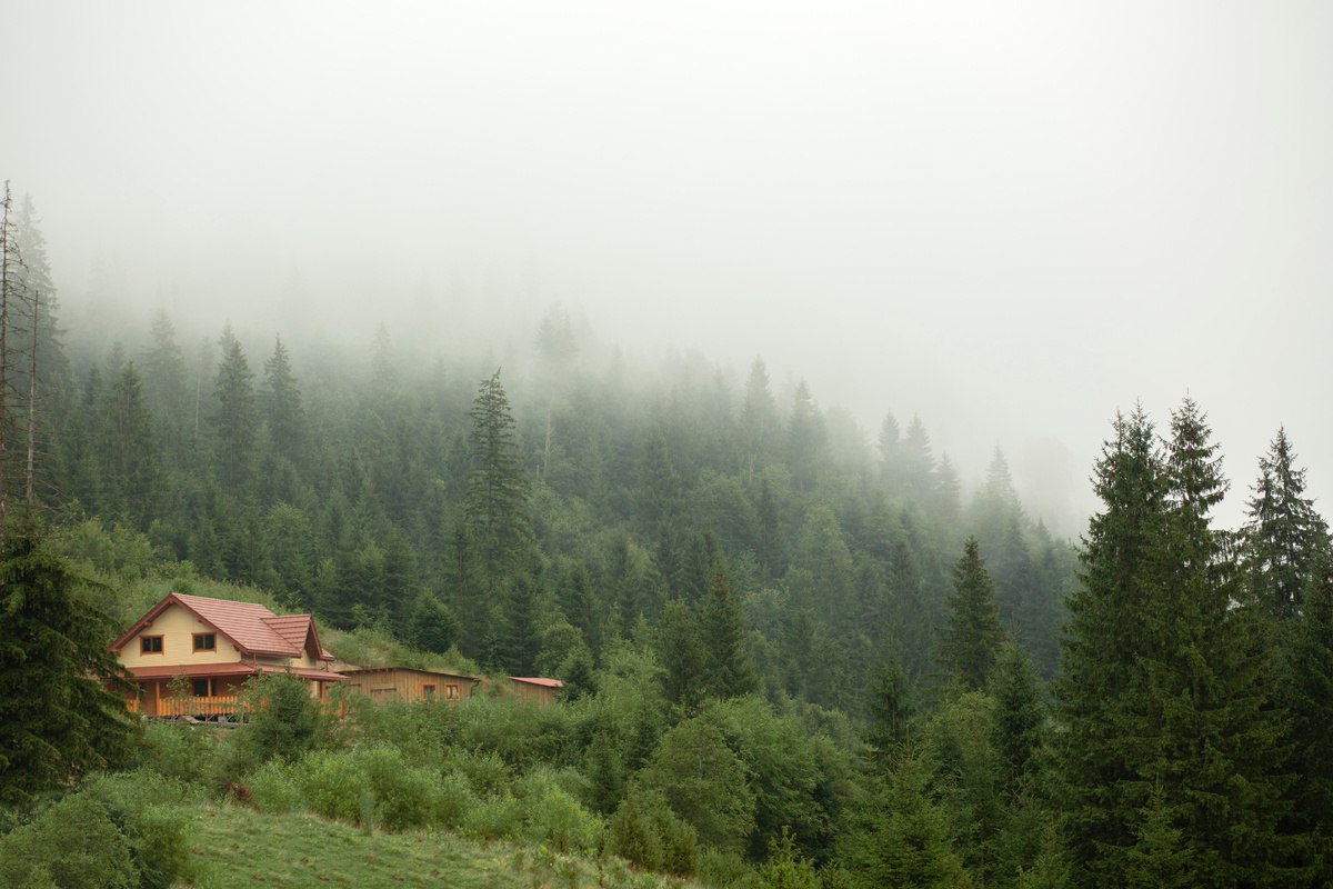 https://www.freepik.com/free-photo/rural-house-surroundings-daylight_19055175.htm#fromView=search&page=1&position=4&uuid=549121f8-f527-4639-af84-eaa764051952&query=дом+в+лесу
