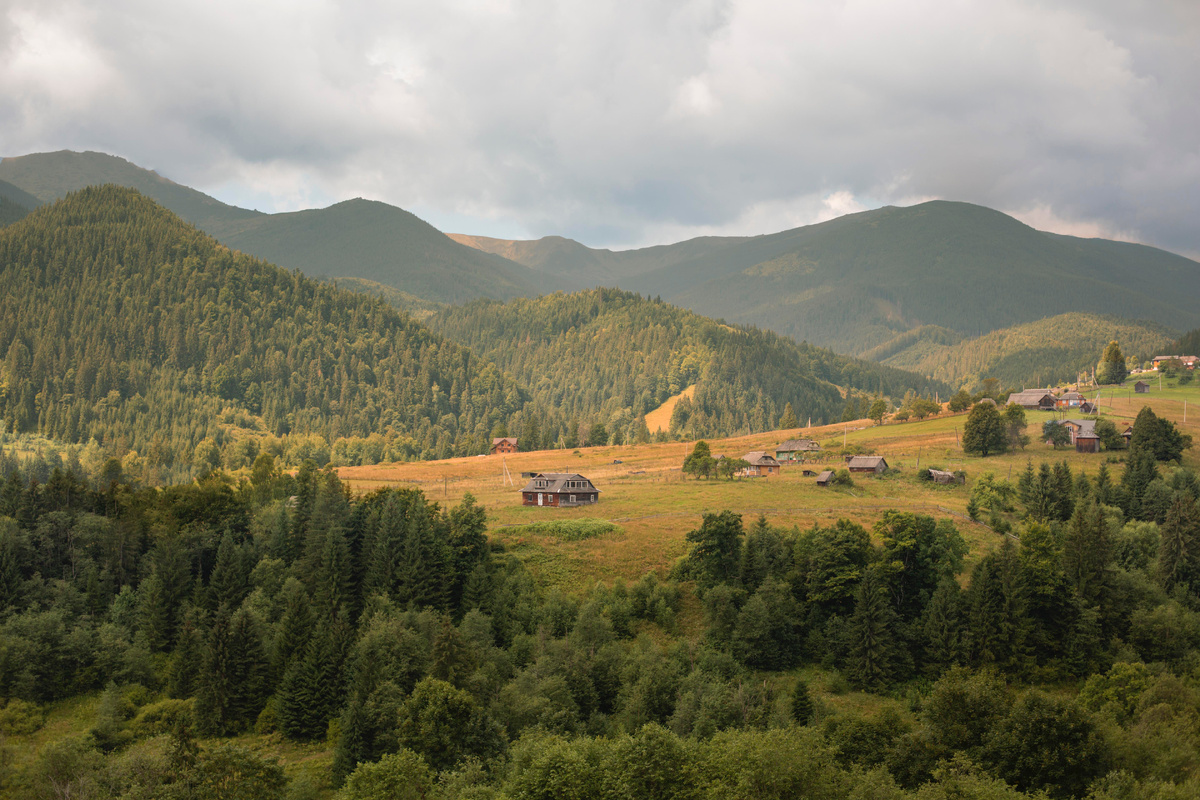 https://www.freepik.com/free-photo/beautiful-rural-view-with-trees_19055137.htm