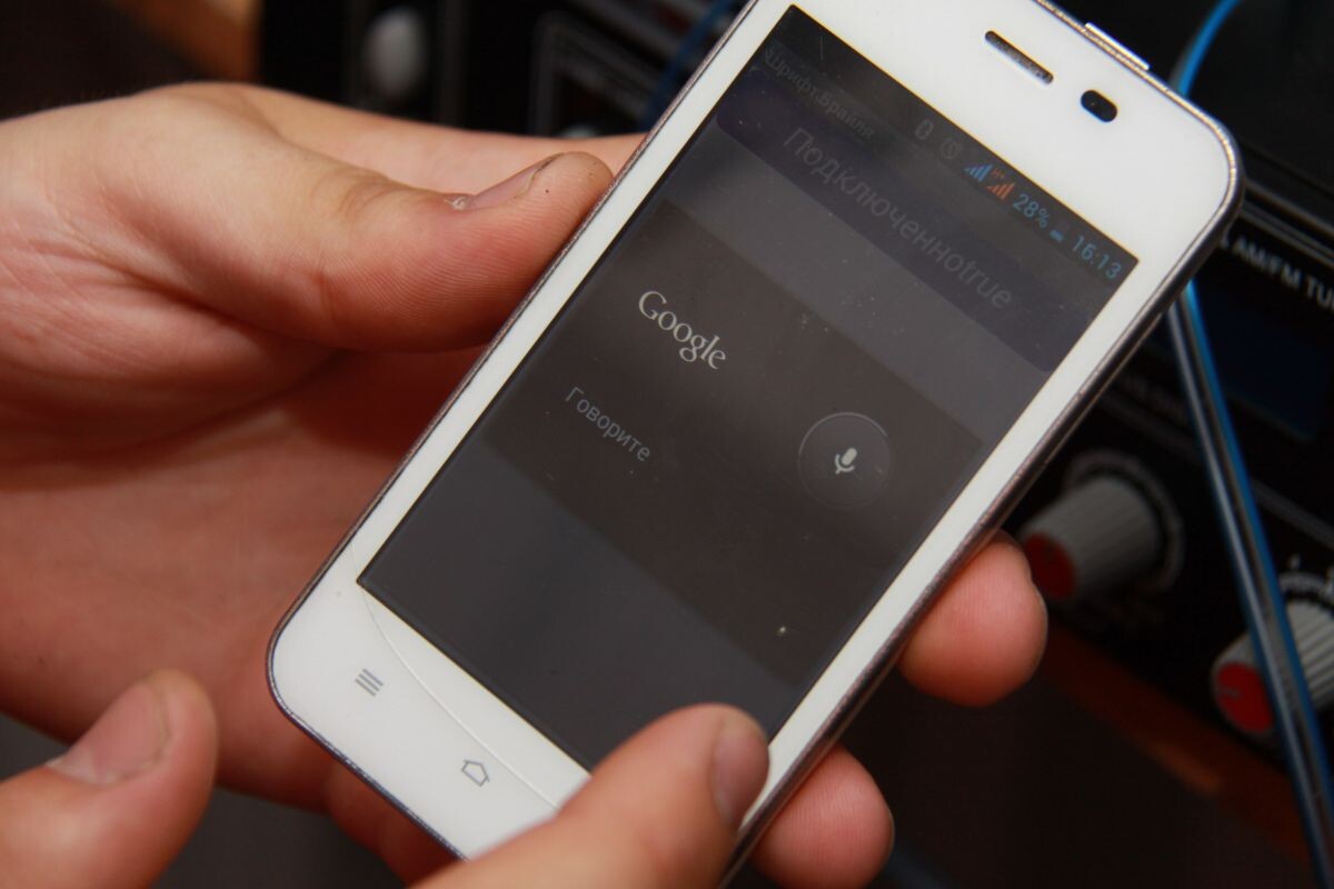    Фото: Алексей Чухланцев