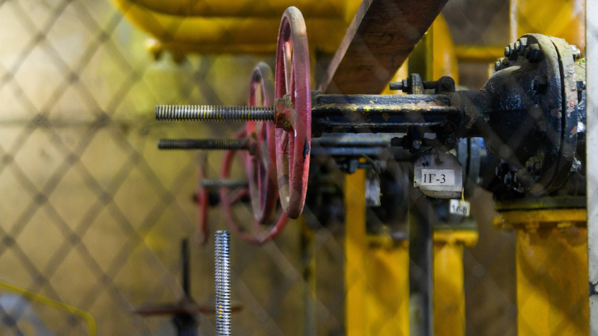    Фото: www.globallookpress.com/Ilya Moskovets