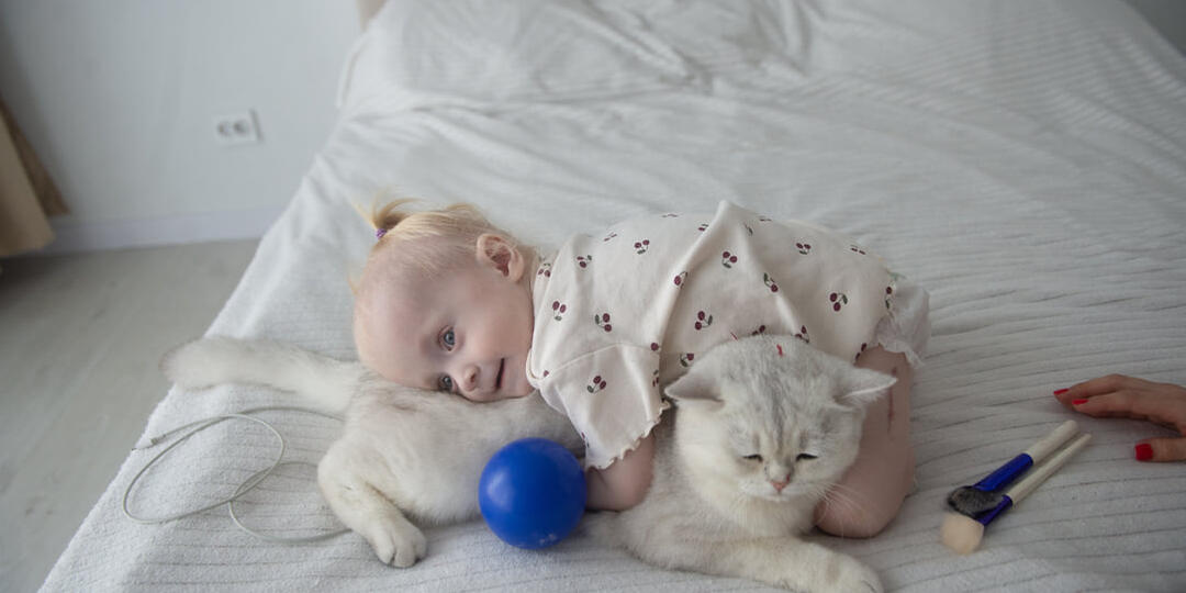 Третье чудо