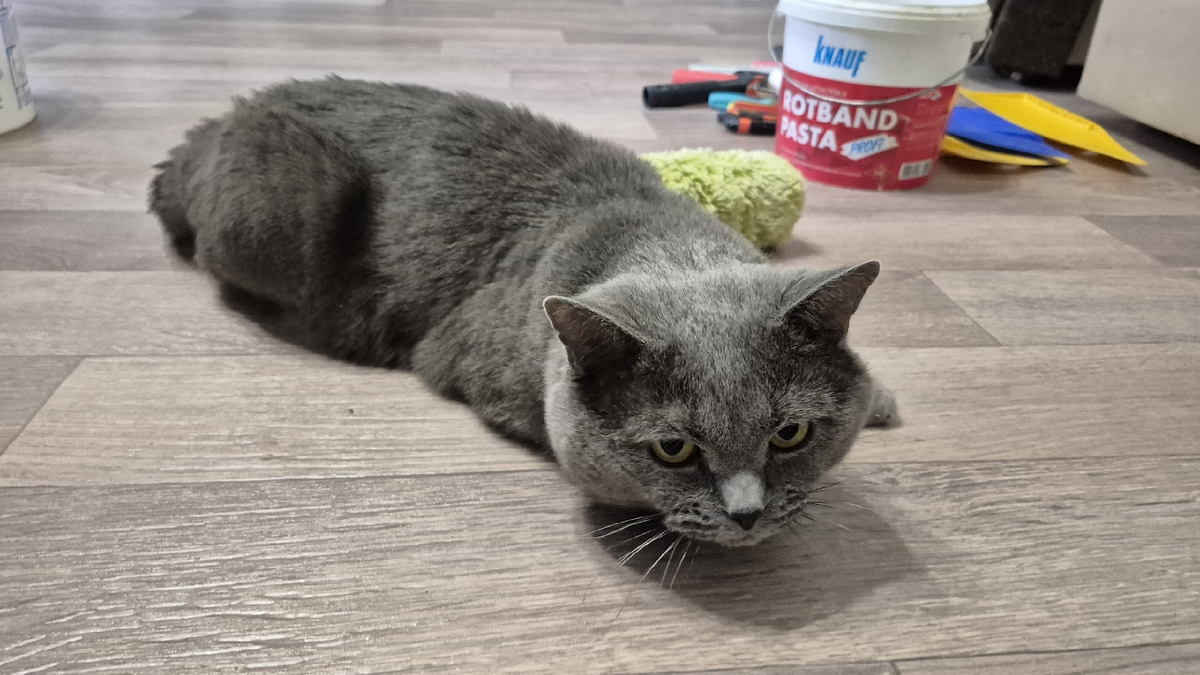 видимо, у заказчицы любимый цвет - серый