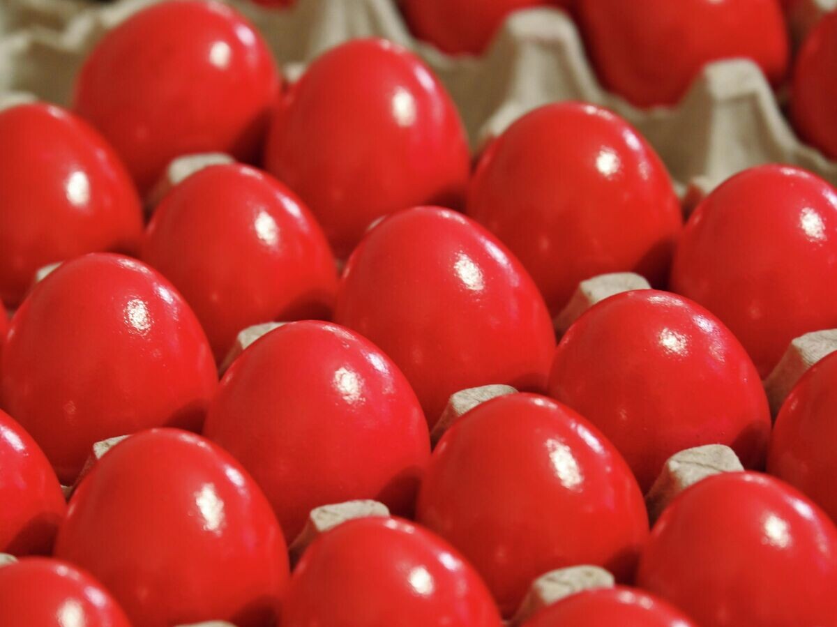    Крашеные яйца | © РИА Новости / Евгений Епанчинцев