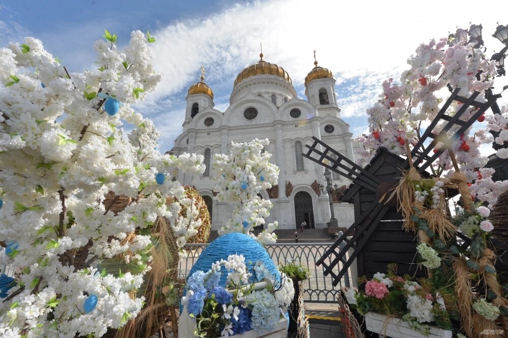    Фото: АиФ/ Эдуард Кудрявицкий