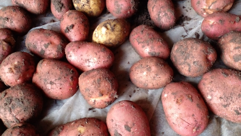    фото smilekaluga.ru