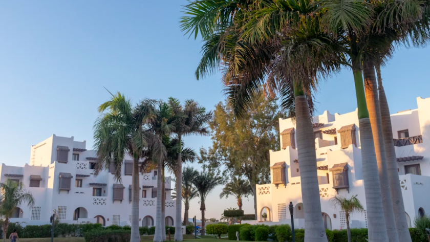    Фото с сайта unsplash.com