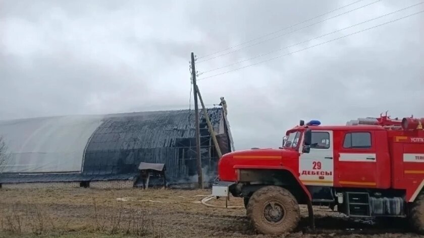    Фото: Государственная противопожарная служба Удмуртской Республики