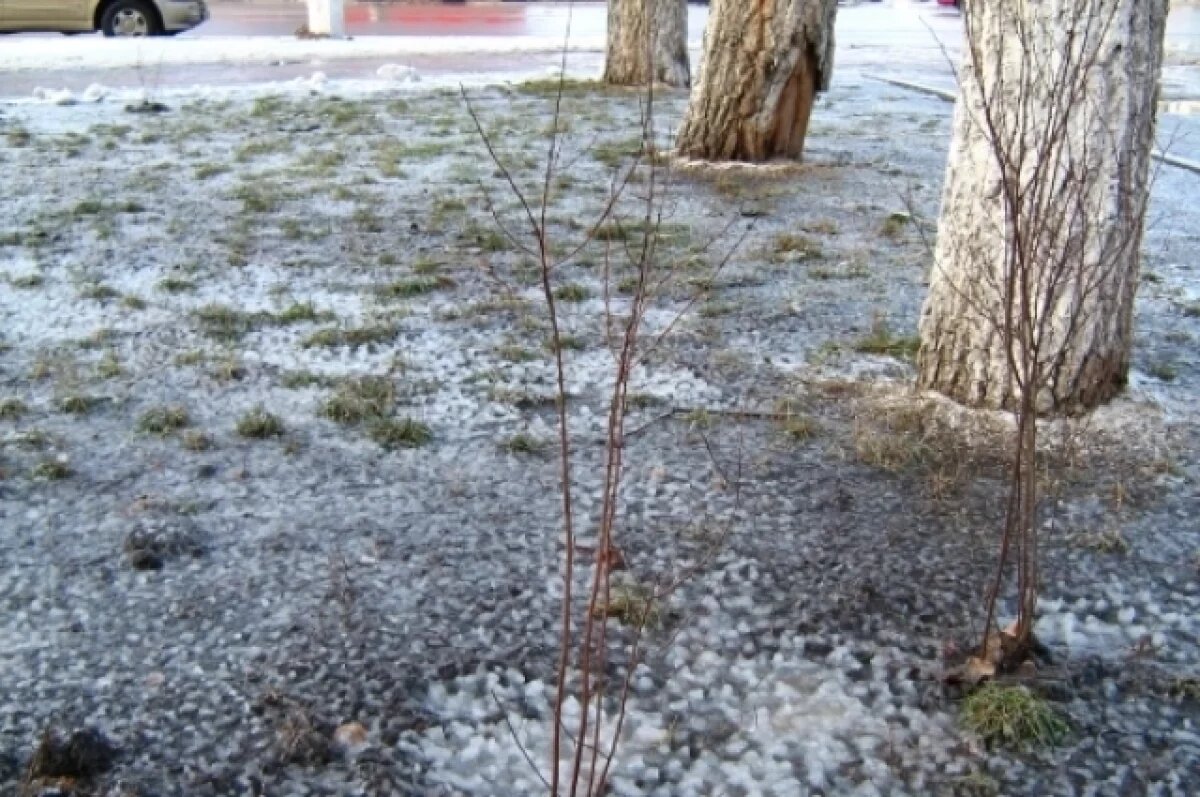    Холода возвращаются: в Красноярске ожидаются заморозки до −9 °C и снег