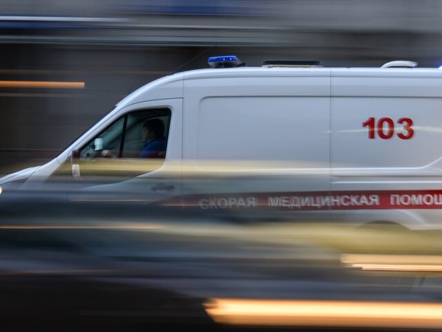    Фото: Москва 24/Антон Великжанин