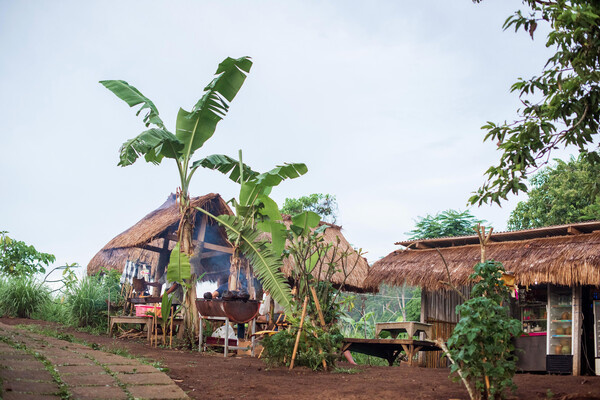 Andrii Kozak/Shutterstock/FOTODOM   📷