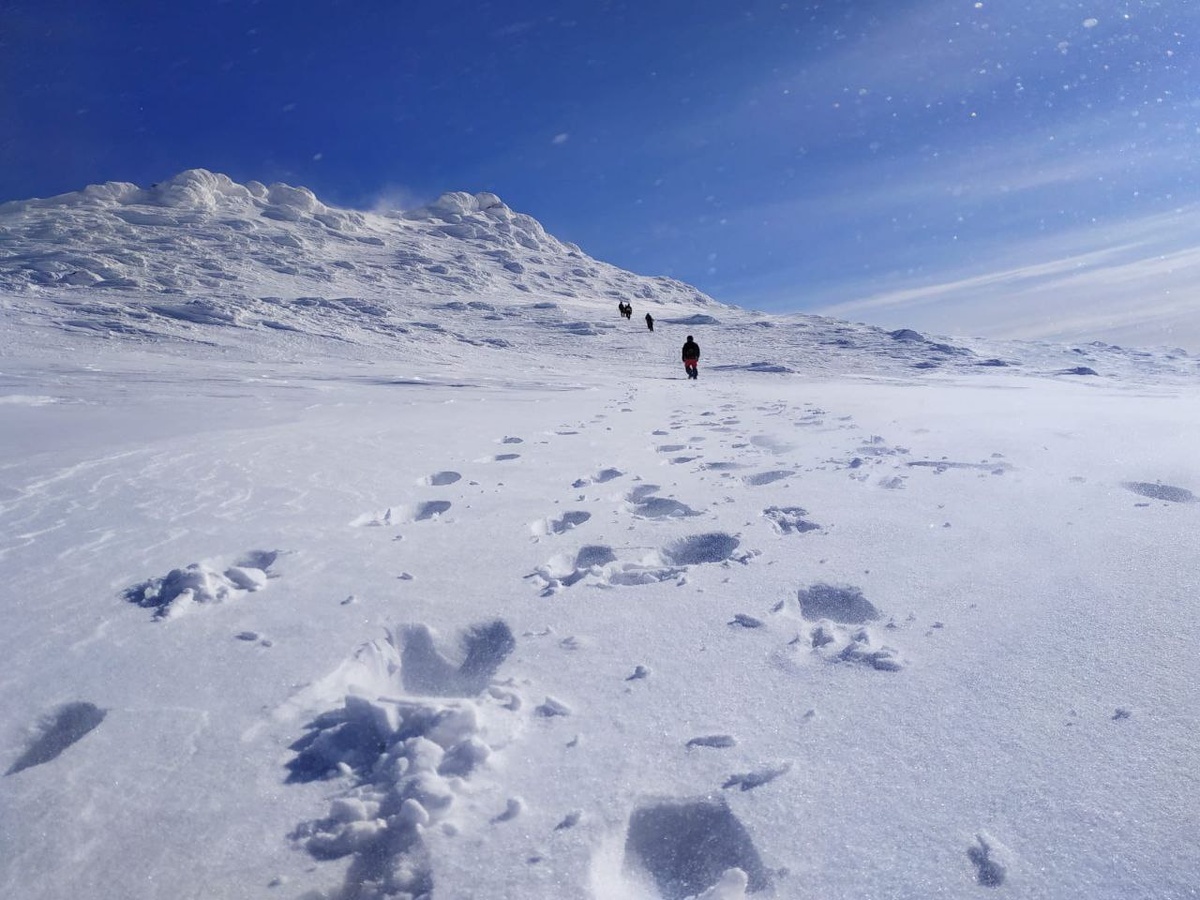 Семеро человек исчезли на Авачинском перевале после удара циклона.  Фото: Фото: ФедералПресс / Елена Селиванова