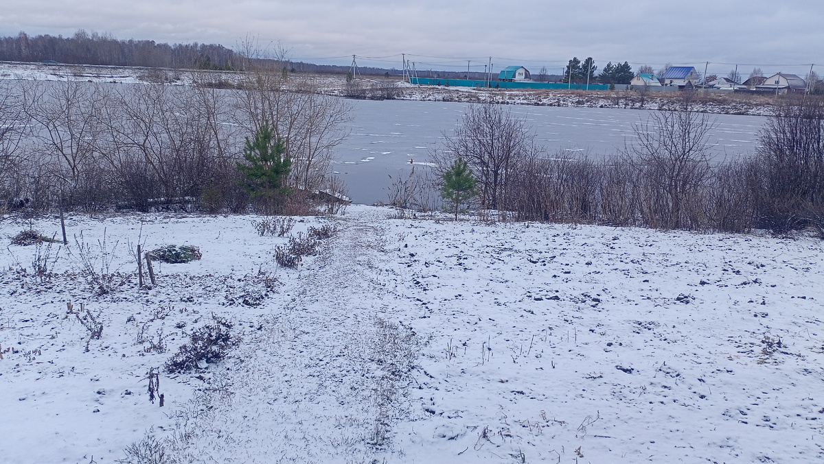 Фото автора канала "Волнушка"