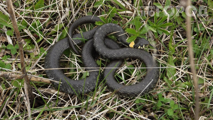    Фото: ПроГород