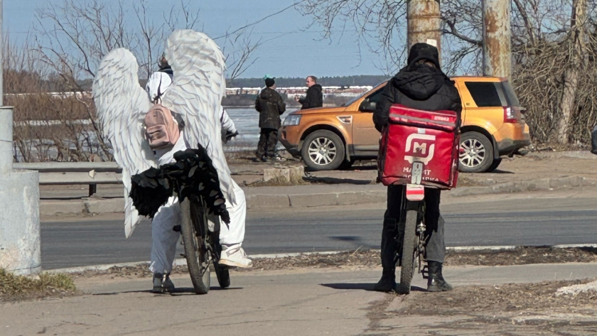    Фото progorod43.ru