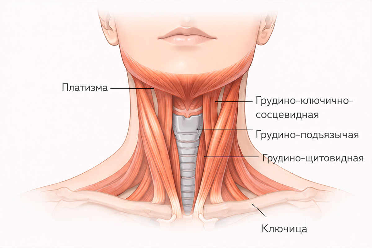 фото из открытого источника