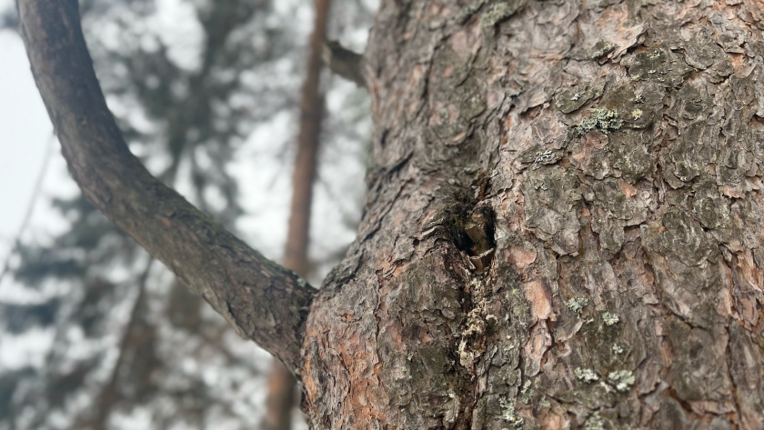    Фотоархив редакции