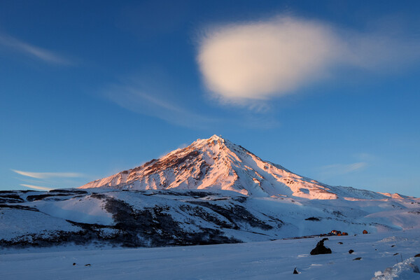 Марина Лысцева/ТАСС   📷
