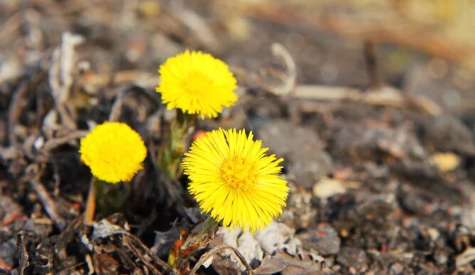 Приметы и поверья на 10 апреля: что категорически нельзя делать в этот день?