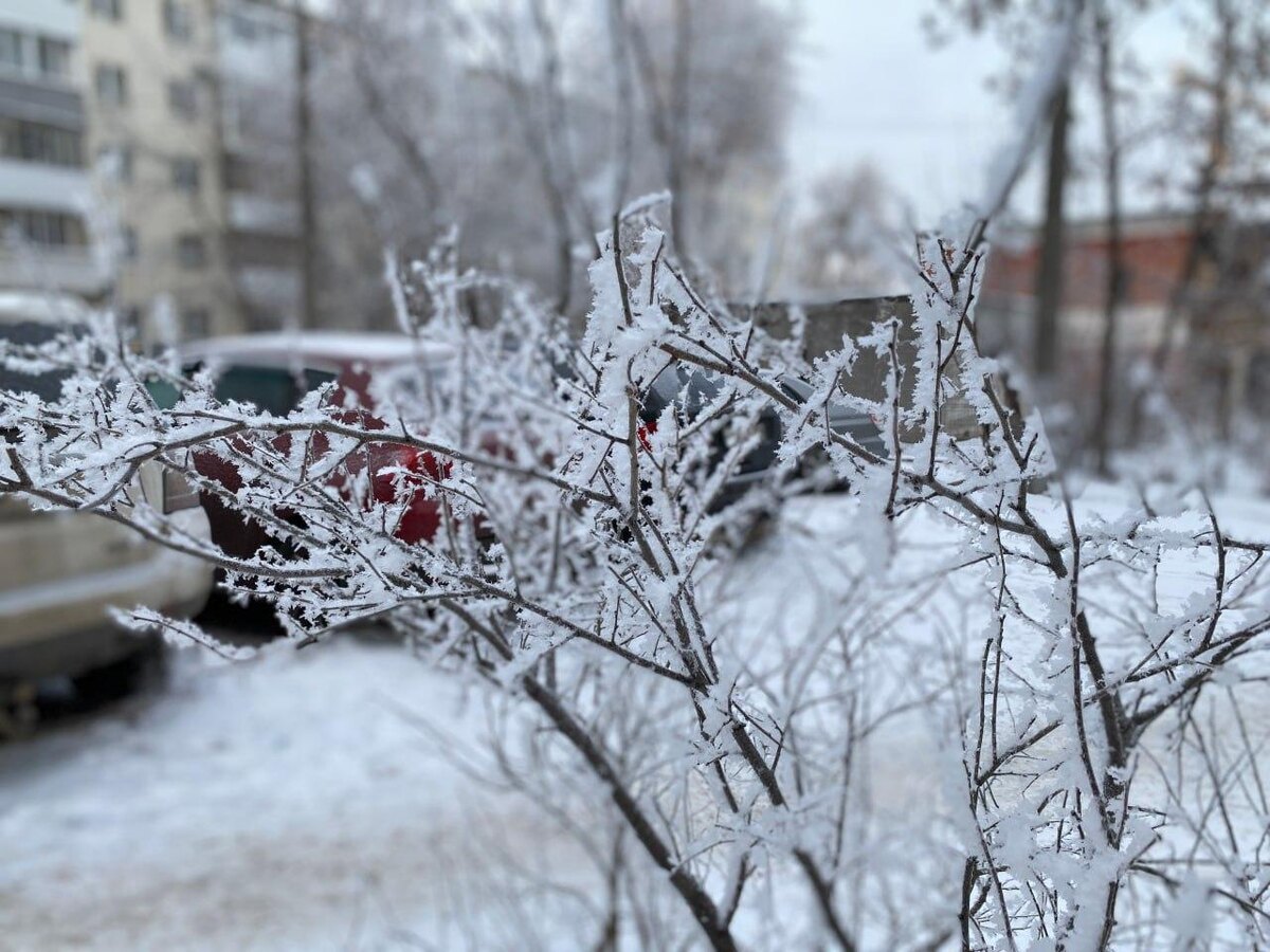    © Константин Долгановский