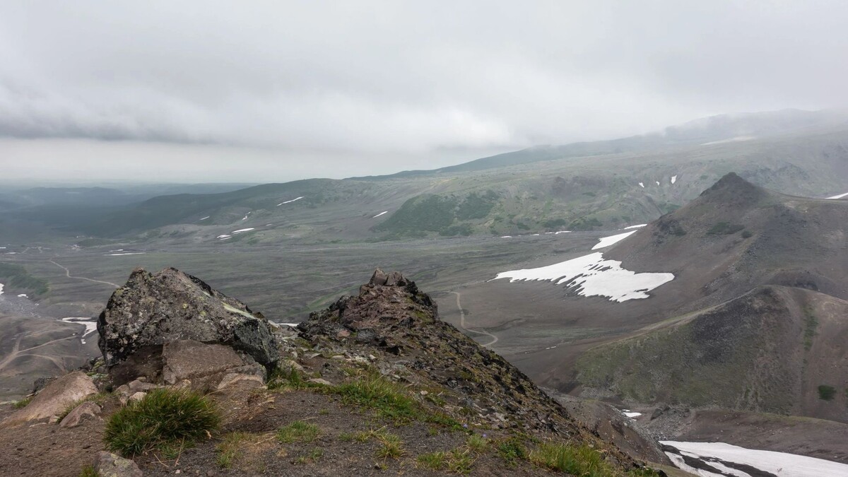    Фото: Veranika848/Shutterstock/Fotodom