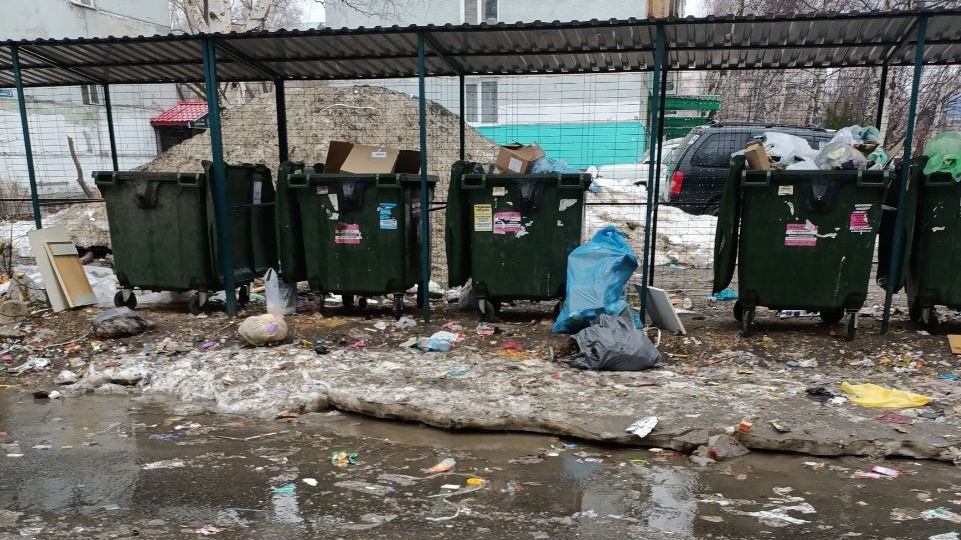    Фото: Наталья, чат канала Владимира Мазура