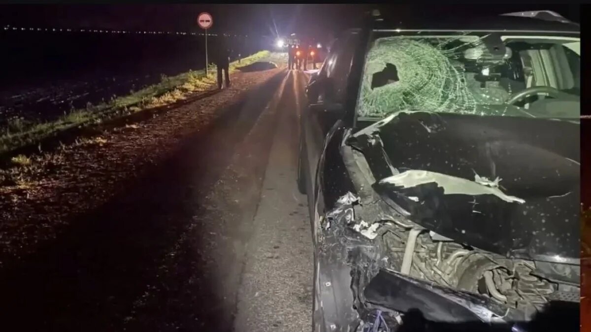    Фото пресс-службы ГУ МВД России по Краснодарскому краю