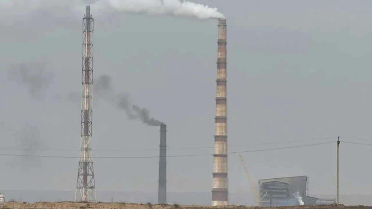 Национальный комитет по экологии и изменению климата