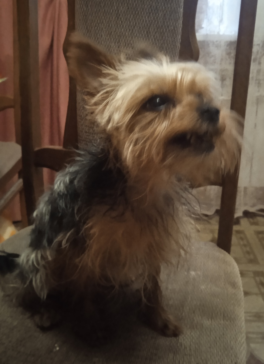 Все фото автора