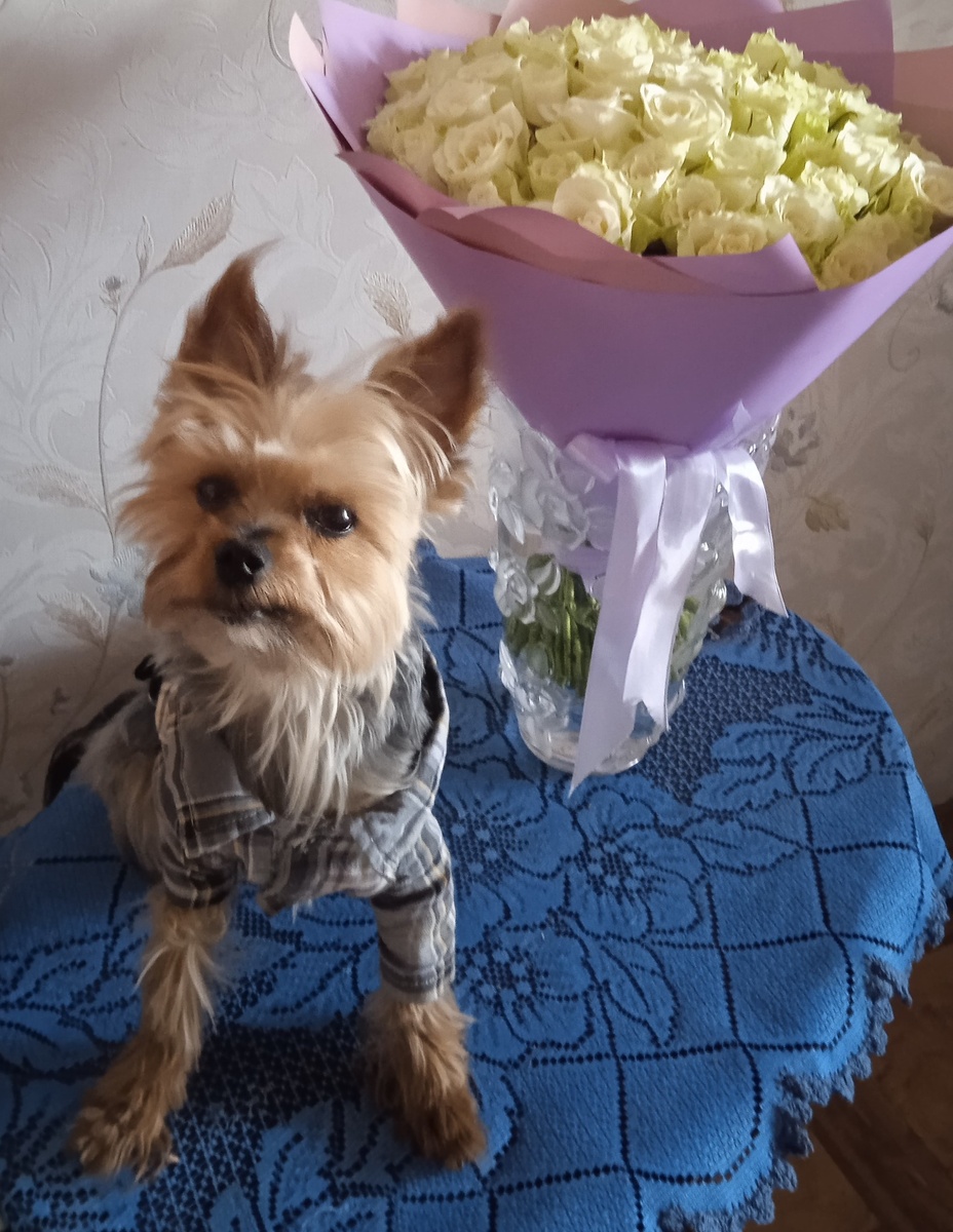 С любовью ко всем