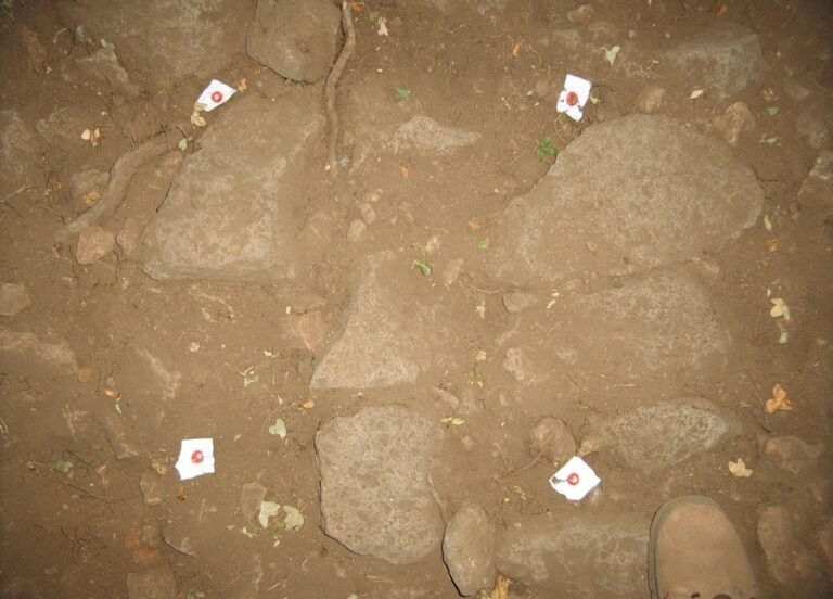    Фото: wiki commons/Iktn/CC0 1.0 Виктория Самойленко