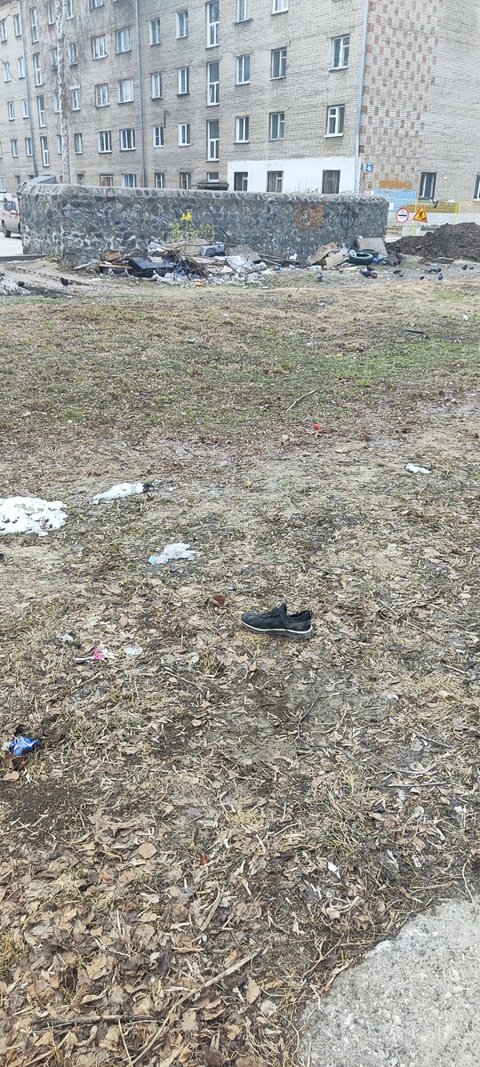 Бывает всякое около мусорных баков. Растаскивают и ботинки. 