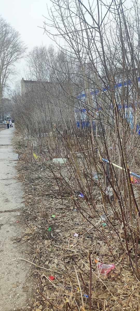 Дорожка по пути в садик и гимназию. 