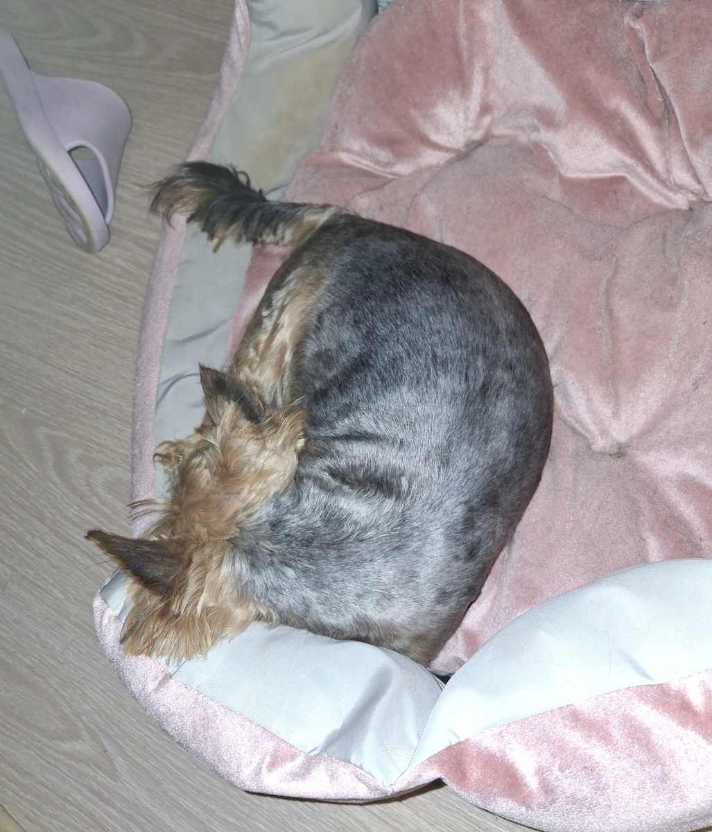 Тут не видно пузяки