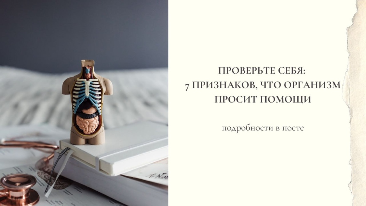 Чек-ап организма