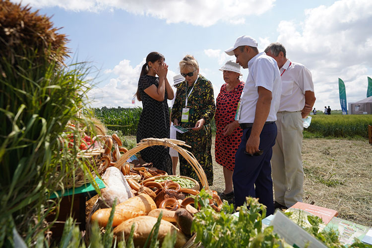    В 2025 году прибыль сельхозтоваропроизводителей в России сократилась на 13%, убытки выросли на 65%, а доля убыточных организаций достигла 22%.   
Фото: agro.tatarstan.ru
