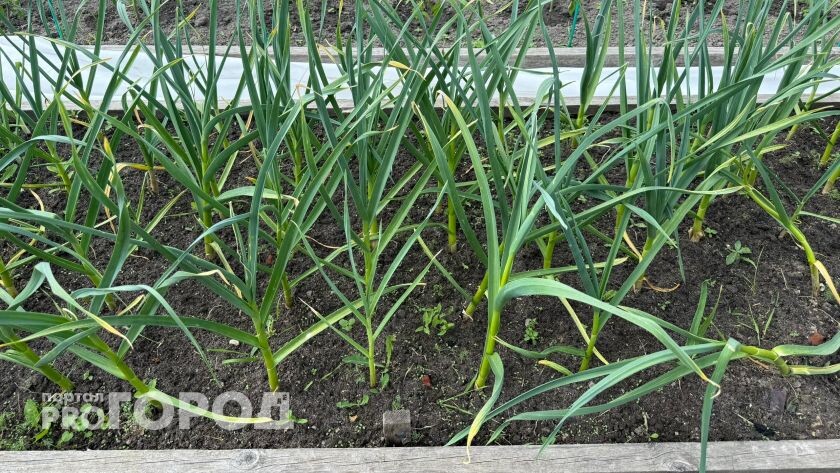    Фото из архива редакции