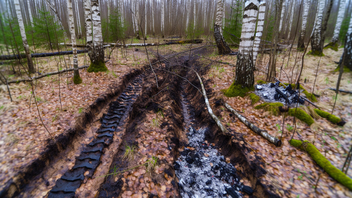    Фото - slanews.ru Елена Нижегородцева