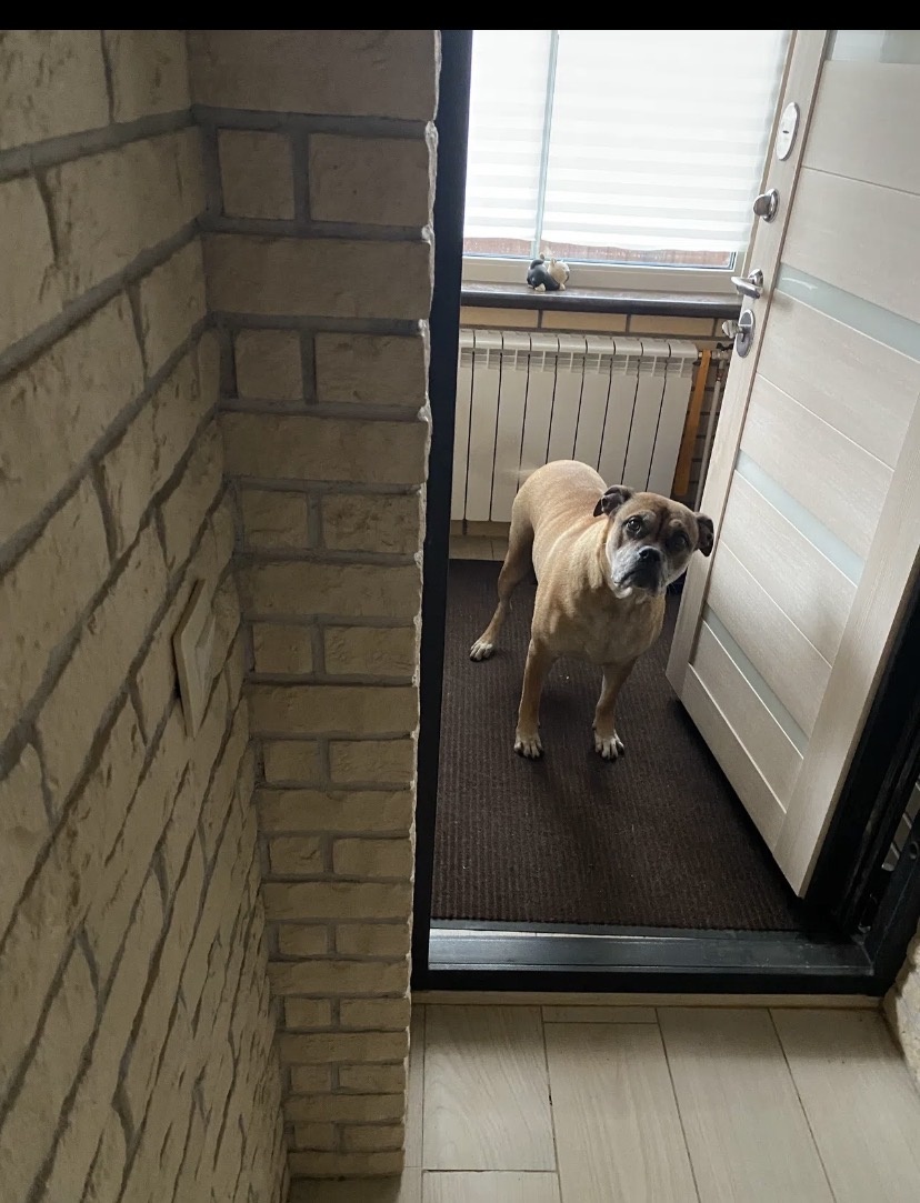 Мамка ты где там ?