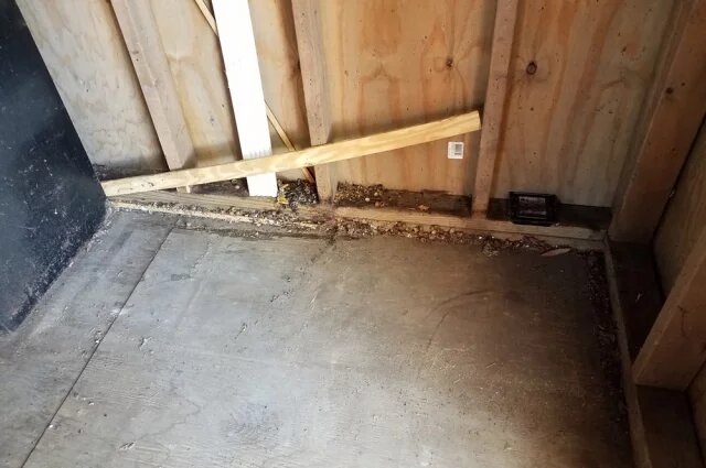    Почему после зимы нужно обязательно убрать мышиный помет?