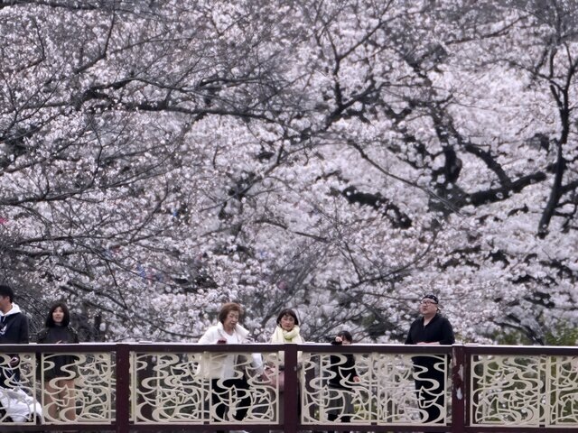    Фото: ТАСС/АР/Shuji Kajiyama