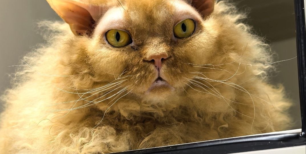 Утро, время открытый