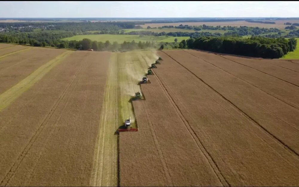    Фото: Телеграм-канал Александра Богомаза
