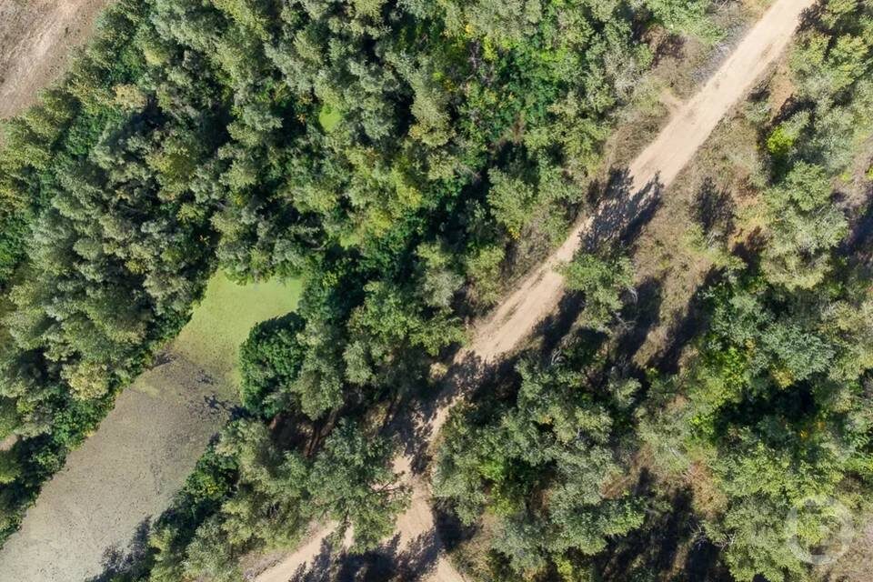    фото: Дмитрий Рогулин / "Городские вести"