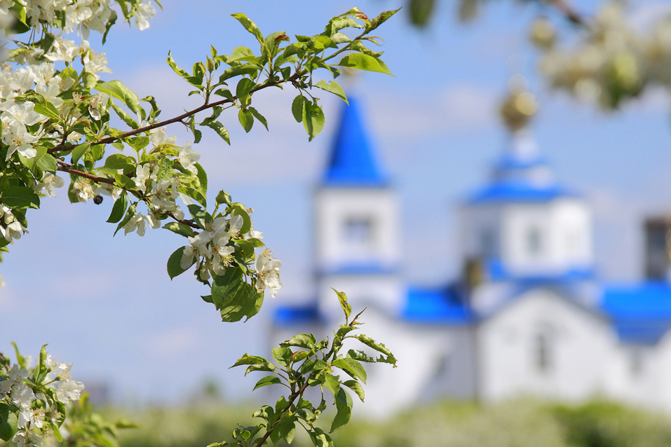    Фото из архива ngt54.ru