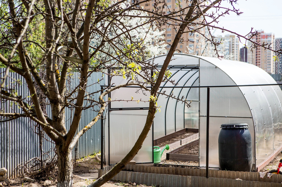    Shutterstock/FOTODOM