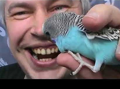 Да, я тебя тоже люблю