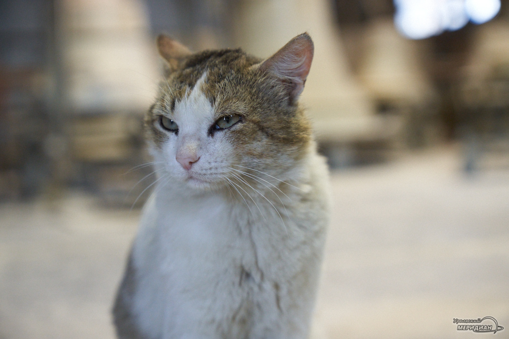    Фото: Лидия Аникина © ИА «Уральский меридиан»