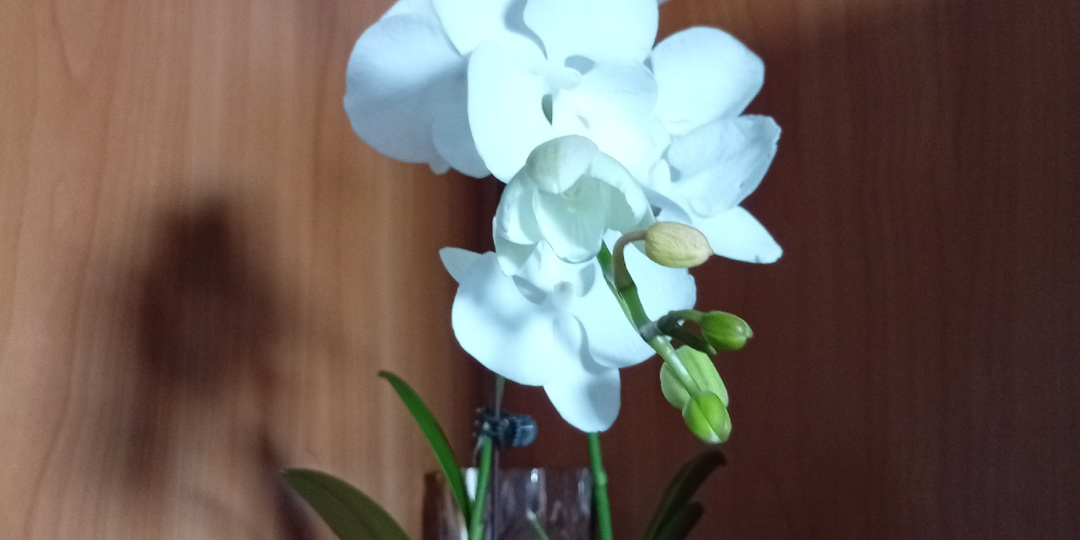 Кто и как нарушают или не соблюдают авторские права?