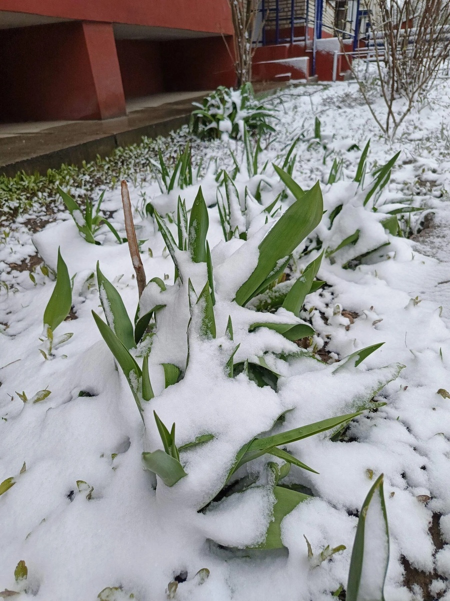 Фото из свободного источника интернет